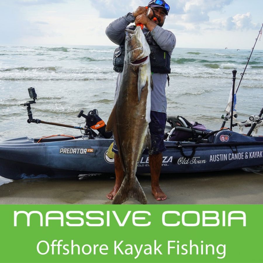 drone fishing for cobia